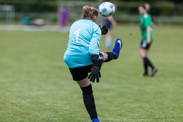 Bild 123 - F VfL Pinneberg - GW Eimsbuettel4 : Ergebnis: 9:0